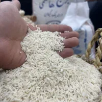 برنج|حراج|تهران, دولتآباد|دیوار