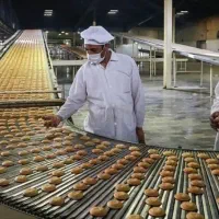 استخدام کارگر ساده و ماهر