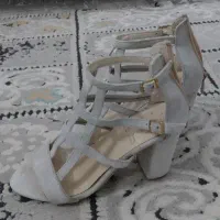 کفش  مجلس