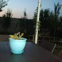 اجاره و رهن آپارتمان