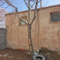 پویا چوب|خدمات باغبانی و درختکاری|گناباد, |دیوار