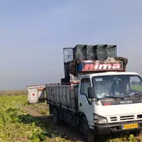 باربری و حمل انواع بار