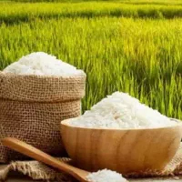 برنج ایرانی(شمال)