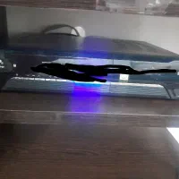 گیرنده دیجیتال تصویری