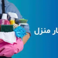 خدمتکار خانم