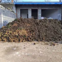 تخریب ساختمانی. نخاله. خاک|خدمات پیشه و مهارت|رشت, پیرکلاچای|دیوار