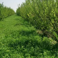 اجرای ساختمان واستخر