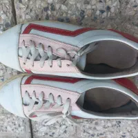 چند جفت کفش دخترانه وزنانه|کیف، کفش، کمربند|خوی, |دیوار