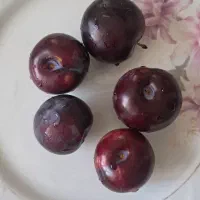 با سلام الو سیاه درجه یک