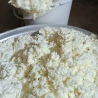 ماست چکیده گوسفندی خالص