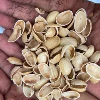 خرید و فروش پوست پسته