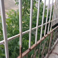 اجاره ویلا|اجارهٔ خانه و ویلا|رینه, |دیوار
