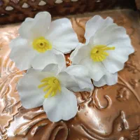 کار در منزل