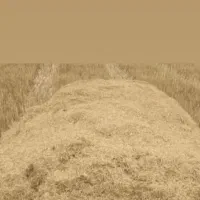 فروش کاه کاهکوب گندم