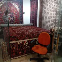 فقط هفته ای ۵۰۰هزار تومان فرش دستی