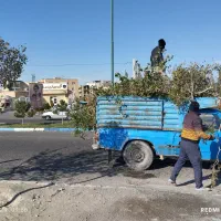 باغبانی،فضای سبز،زیبا سازی|خدمات باغبانی و درختکاری|تبریز, |دیوار