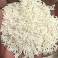 برنج طارم اصل گرگان