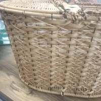 سبد