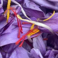 خرید زعفران با کیفیت برای شما دوستان عزیز|حراج|مشهد, ابرغن|دیوار