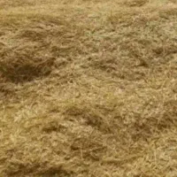 فروش کاه عدس صدکیلو