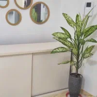 ام دی اف ۱۸۰