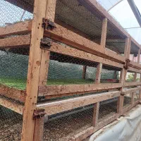 قفس ۳ طبقه پرندگان|لوازم جانبی حیوانات|خرمآباد (تنکابن), |دیوار