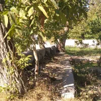 باغ دراسکو انشعاب دار|فروش خانه و ویلا|اسکو, |دیوار