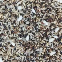 بورس خوراک پرندگان ( گل دانه)|لوازم جانبی حیوانات|قم, فرهنگیان و شهربانی|دیوار