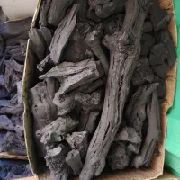 فروش زغال|عمده‌فروشی|بیرجند, |دیوار