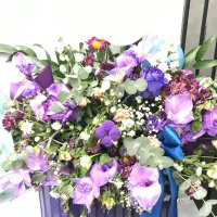 فروشگل دست دوم خارجی|گل و گیاه طبیعی|تهران, منیریه|دیوار