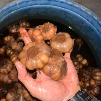 فروشگاه نگین دشت طارم|خوردنی و آشامیدنی|تهران, ترمینال غرب|دیوار