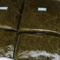 سبزی قورمه سبزی خوزستان رامهرمز