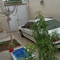 اجاره روزانه/هفتگی/ماهانه آپارتمان ۵۰ متری|اجارهٔ کوتاه‌مدت آپارتمان و سوئیت|یزد, |دیوار