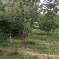 باغ دلنشین ودنج درمناطق اسکو|فروش خانه و ویلا|اسکو, |دیوار