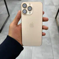 16 pro max صحرایی