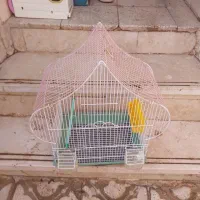 قفس پرنده|لوازم جانبی حیوانات|شیراز, سعدیه شمالی|دیوار