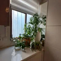 71متر-1-خواب-دو-طرف-نور