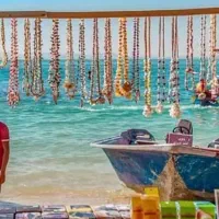 تور قشم 6 روزه اقتصادی با کیفیت حرکت همه روزه|تور و چارتر|مشهد, سجادیه|دیوار