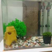 آکواریوم شیشه خم با اسکار