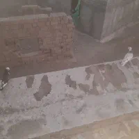 کفتر خوب جوان توکی هوای ملکی ۷عدد به فروش می‌رسد|پرنده|کهنوج, |دیوار