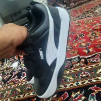 کفش پوما اصل|کیف، کفش، کمربند|مریوان, |دیوار