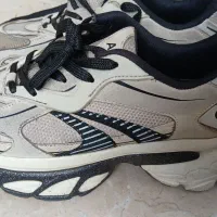 کتونی|کیف، کفش، کمربند|رشت, پیرکلاچای|دیوار