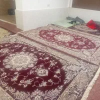 فروش فرش دست دوم در حد نو|فرش|قیدار, |دیوار