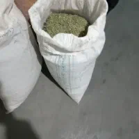 کاکوتی درجه 1 بجنورد