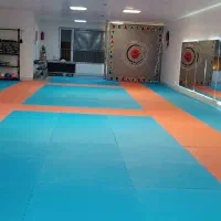 آموزش کاراته کنترلی
