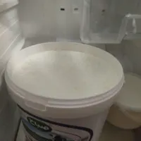 ماست بز