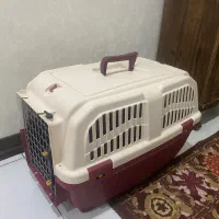 باکس سگ در حد نو