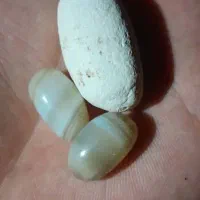 بردسلیمانی و برد شانس