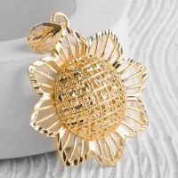 پلاک ورو لباسی زیبا و مجلسی