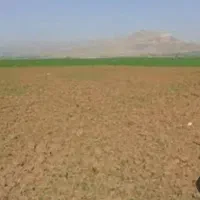 زمین-دیم-4ونیم-جریب